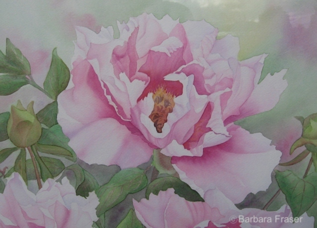 &quot;Outburst&quot;