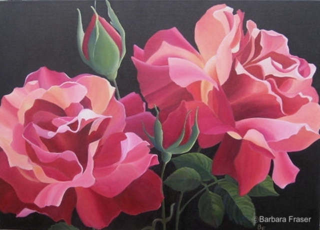 &quot;Rosa Victoriosa&quot;