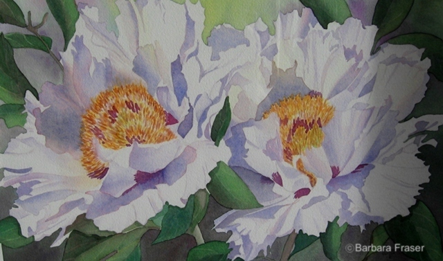 &quot;Peony Power&quot;